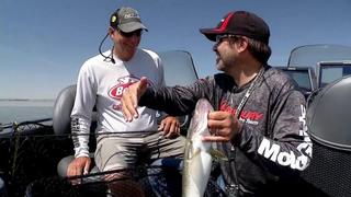 Contour Trolling Structure for Walleye