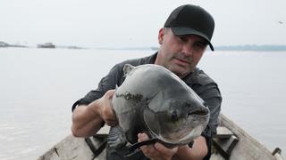 Piranha Attack