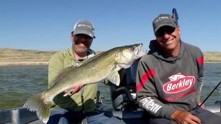 Jigging for Migrating Reservoir Walleye