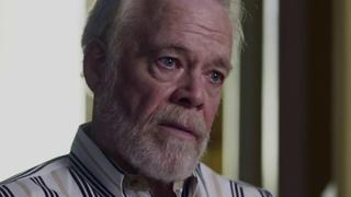 Into the Woods Into the Woods