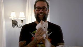 Chinchilla Chill Pad