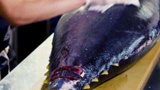 How to Butcher a Whole Tuna