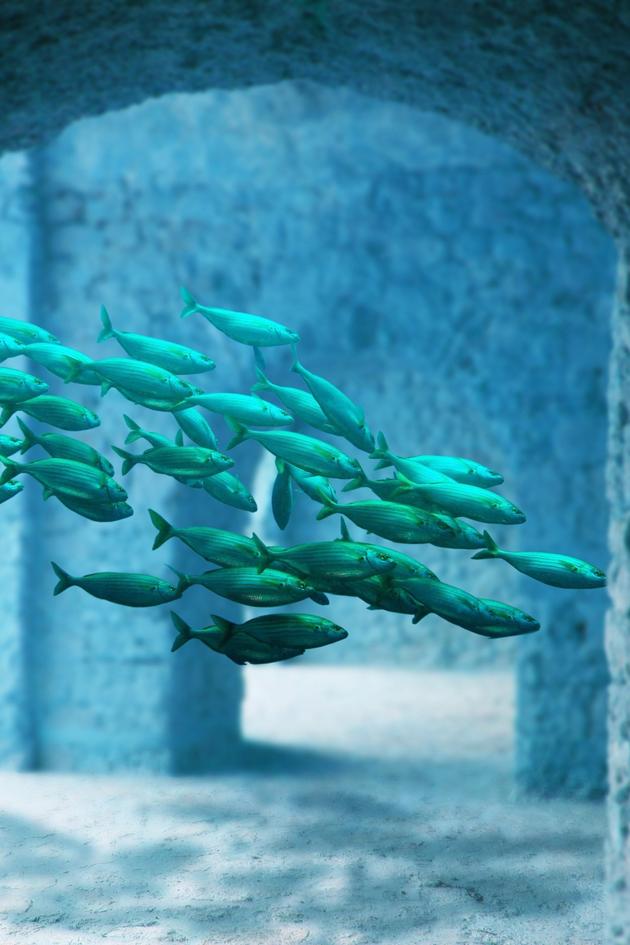 Finding Atlantis: The New Evidence