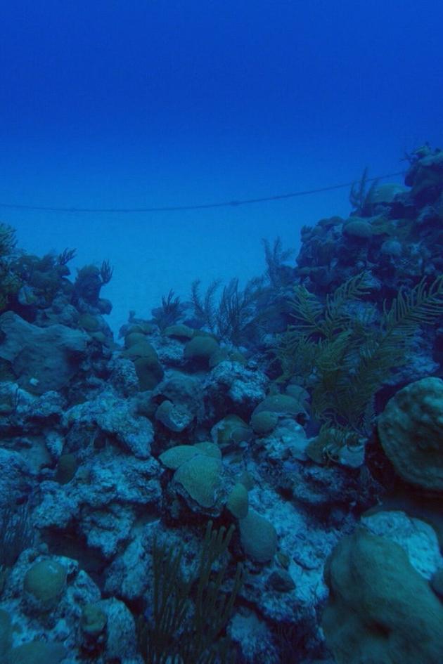 Legends of the Deep