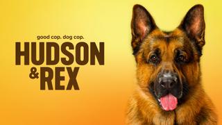 Hudson & Rex