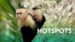 Hotspots