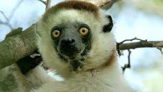 Madagascar