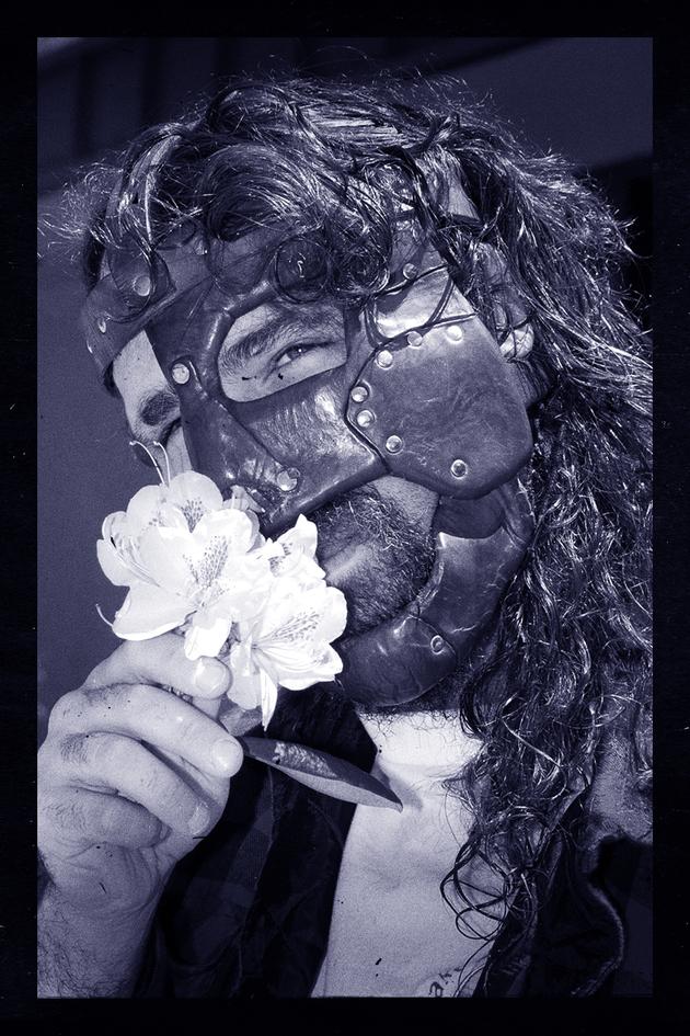 Dark Side of the Ring