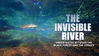 The Invisible River: Under Water Between the Black Forest and the Vosges