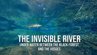 The Invisible River: Under Water Between the Black Forest and the Vosges