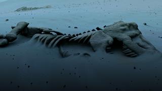 Recovering From Extinction