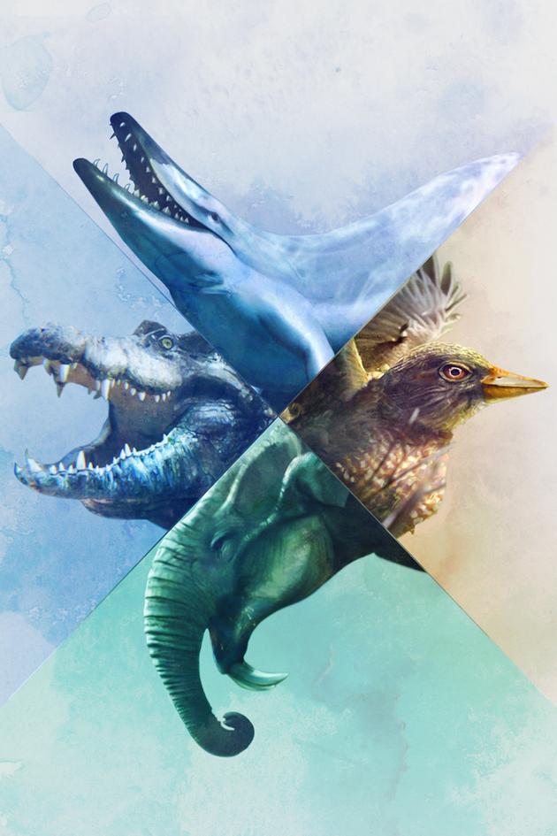 When Whales Walked: Journeys in Deep Time