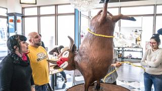 A Cake and Bull Story A Cake and Bull Story