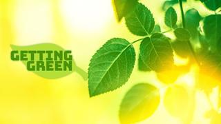  watch Getting Green