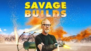 Savage Builds