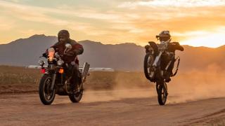 Zombie Bikes vs. Zombie Apocalypse