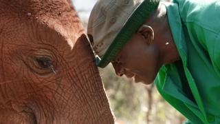 Baby Elephant Rescue