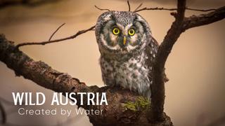 Wild Austria: Created by Water