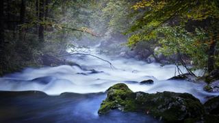 The Flow of Time
