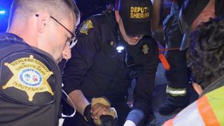 Live PD: Police Patrol No. 204