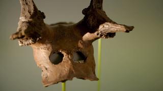 Ice Age Shaman