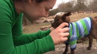 On the Farm