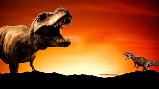T-Rex Timeline