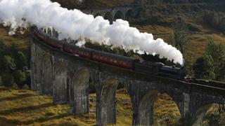 Geoduck, Steam Trains