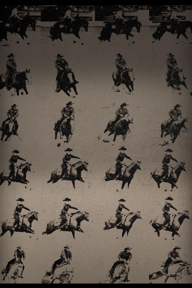 The Last Cowboy