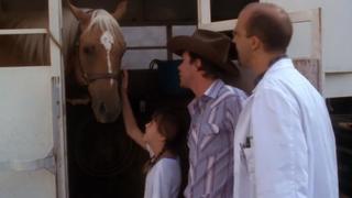 They Treat Horses, Don't They?