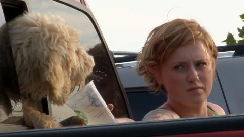 The Car Driver