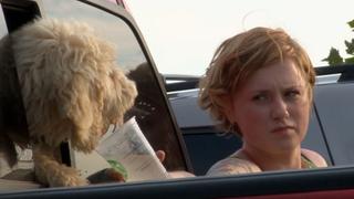 The Car Driver
