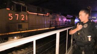 Live PD: Police Patrol No. 225