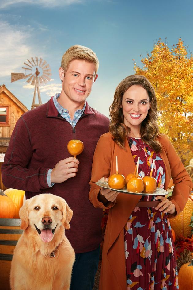 Love, Fall & Order