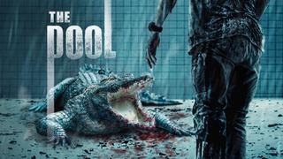  watch The Pool