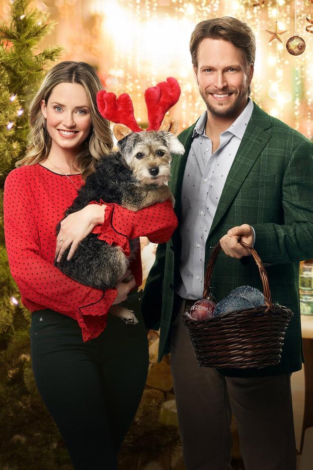 Picture a Perfect Christmas