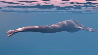 The Loch Ness Monster, Part 2