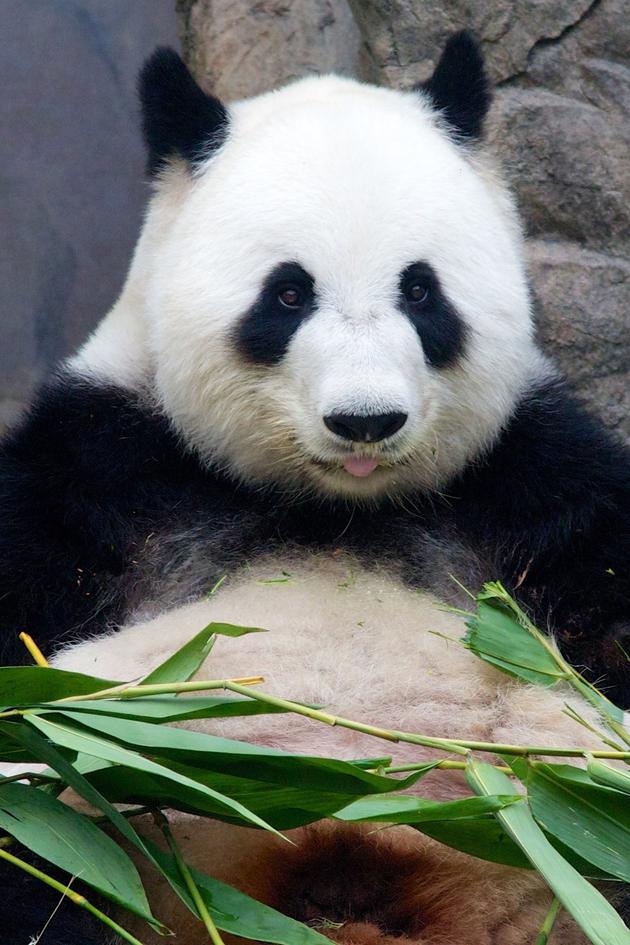 Wild Stories at the San Diego Zoo