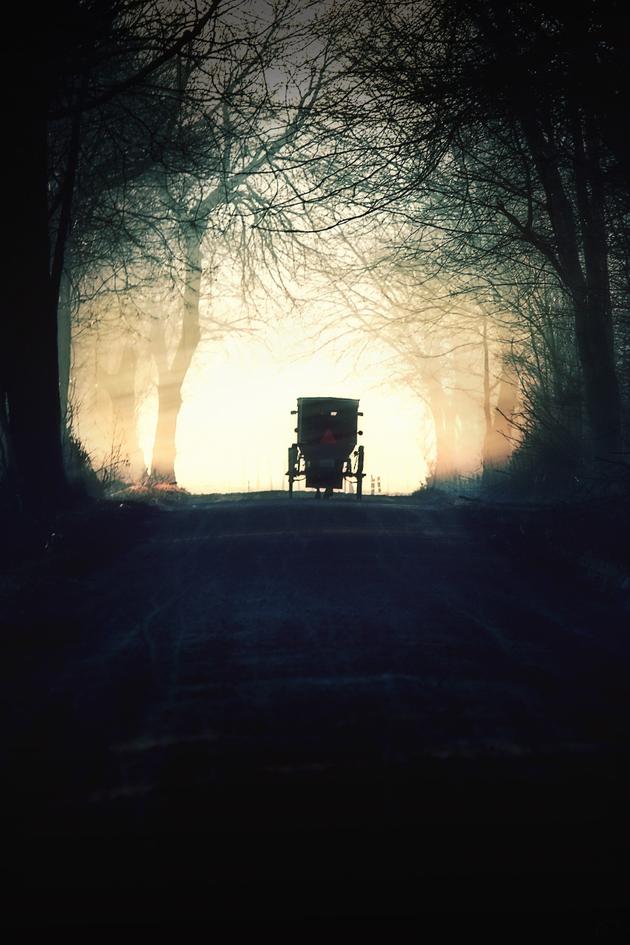 Murder in Amish Country