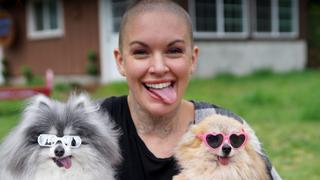 Aloha Dog Rescue