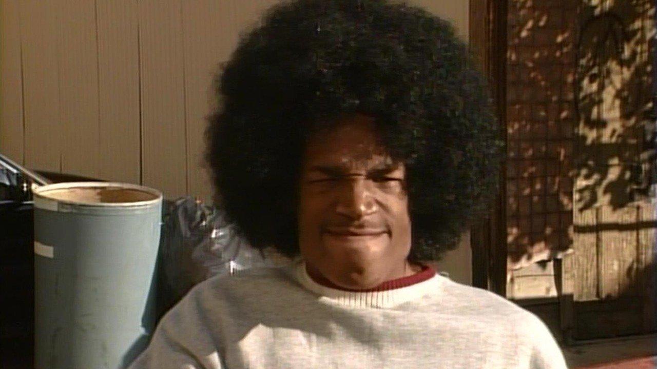 The Wayans Bros. GoopHairItIs