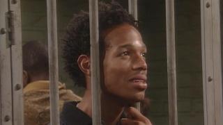 The Shawn-Shank Redemption
