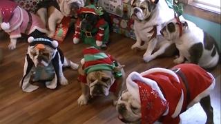 Unhappy Holidays