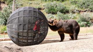 Human Kannonball