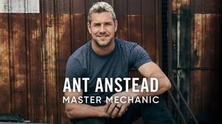 Ant Anstead Master Mechanic