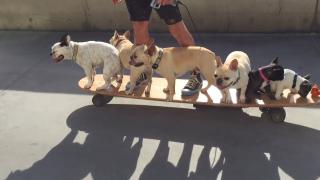 Sk8r Good Boi