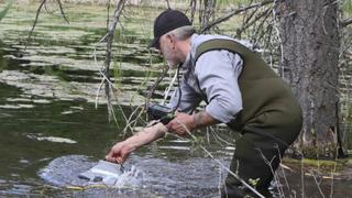 It Knows We're Here It Knows We're Here