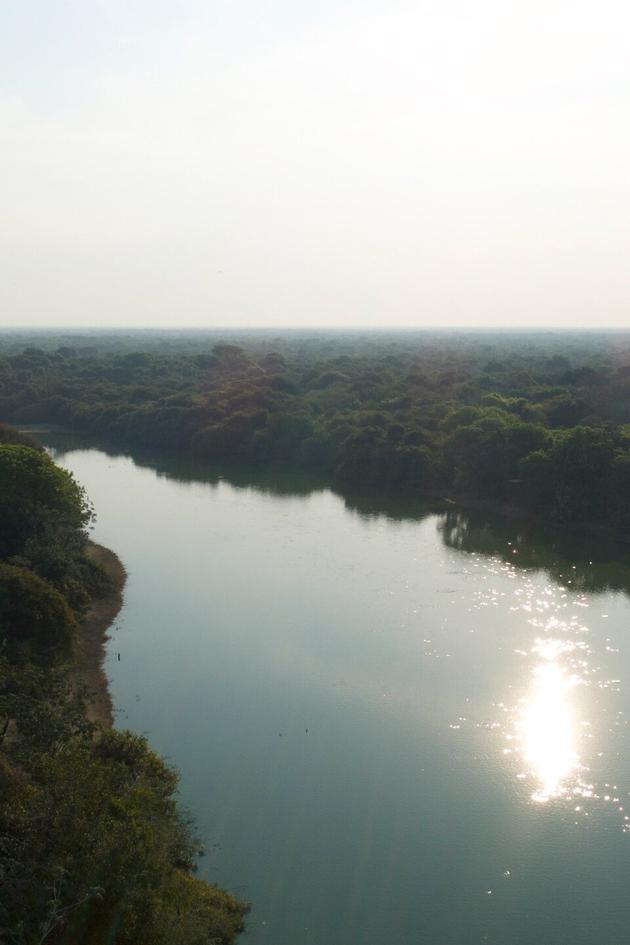 Brazil's Emerald Oasis