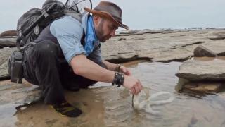 Deadly Tide Pools