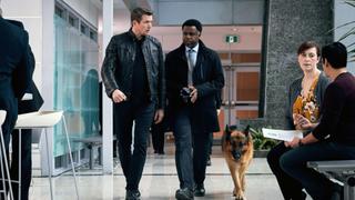 Hudson & Rex